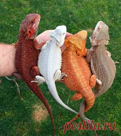 Фото, которые расскажут еще больше правды об окружающем мире