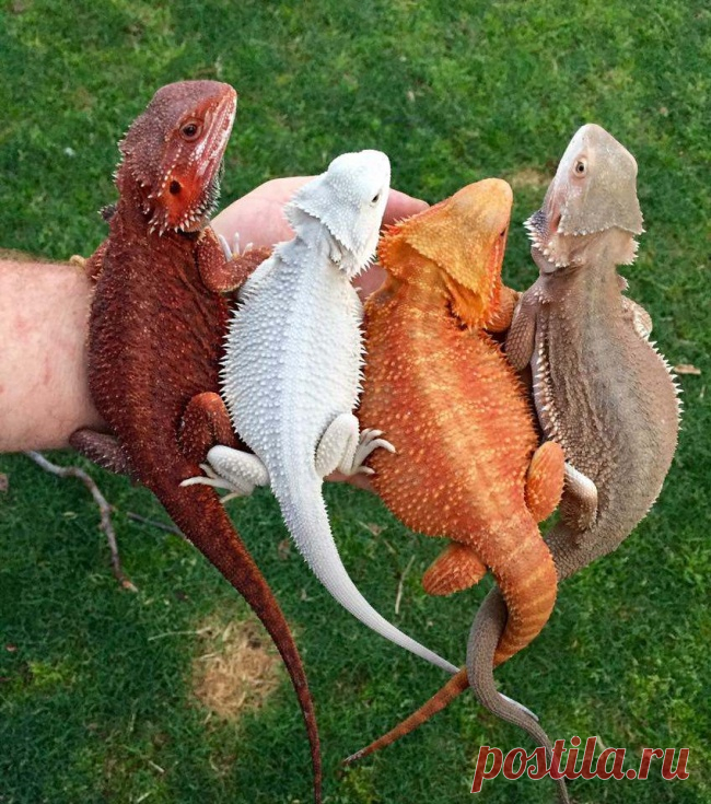 Фото, которые расскажут еще больше правды об окружающем мире