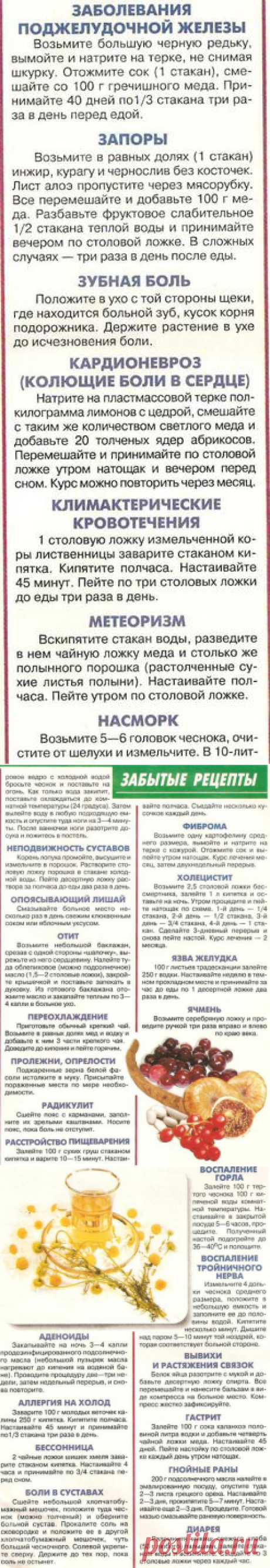 Забытые народные рецепты из старых журналов