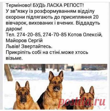 (9) Facebook
