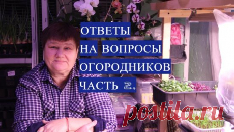 Ответы На Вопросы, Которые Интересуют Огородников. Часть 2.
https://www.youtube.com/watch?v=Wqjz9ay6kp0&list=PLqCZWqsWs4QLhdGQ96xOLzYo2WDcwr7Z_
Ответы На Вопросы, Которые Интересуют Огородников. Часть 1. https://www.youtube.com/watch?v=Wqjz9ay6kp0&list=PLqCZWqsWs4QKhSFl6ctS6PYdMdggRb8Lc 
Рассада. Как много в этом слове! 
Скоро наступит пора готовиться к нашему долгожданному огородному сезону. Посадка рассады - первый шаг. Сажать рассаду еще рано, но уже можно и нужно готовиться к ее посадке: кру