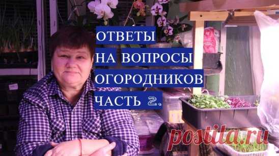 Ответы На Вопросы, Которые Интересуют Огородников. Часть 2.
https://www.youtube.com/watch?v=Wqjz9ay6kp0&list=PLqCZWqsWs4QLhdGQ96xOLzYo2WDcwr7Z_
Ответы На Вопросы, Которые Интересуют Огородников. Часть 1. https://www.youtube.com/watch?v=Wqjz9ay6kp0&list=PLqCZWqsWs4QKhSFl6ctS6PYdMdggRb8Lc 
Рассада. Как много в этом слове! 
Скоро наступит пора готовиться к нашему долгожданному огородному сезону. Посадка рассады - первый шаг. Сажать рассаду еще рано, но уже можно и нужно готовиться к ее посадке: кру