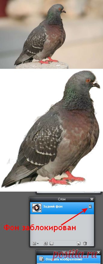 Как очистить картику от заднего фона в программе ЭДИТОР