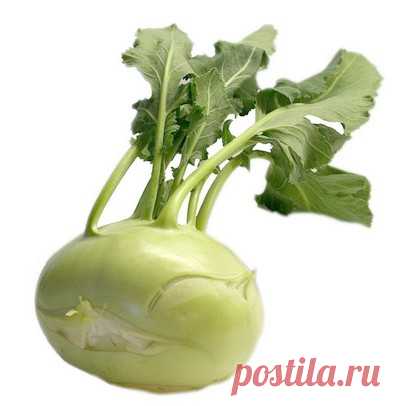Кольраби … Срочно — в печать !!! №2 | 4vkusa.ru