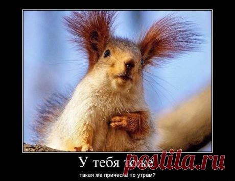 Мимиметр зашкаливает!