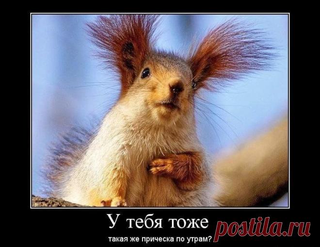 Мимиметр зашкаливает!