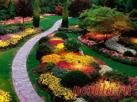 variety of colors and flowers!!  |   Pinterest: инструмент для поиска и хранения интересных идей