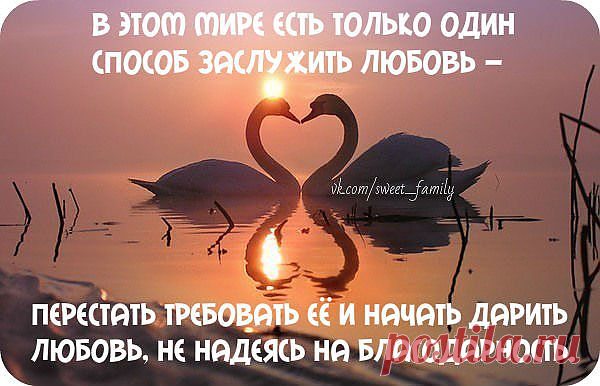 Любите бескорыстно...