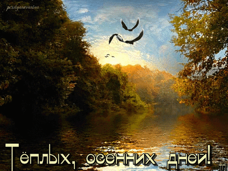 (100+) Галерея поздравлений - Группы Мой Мир