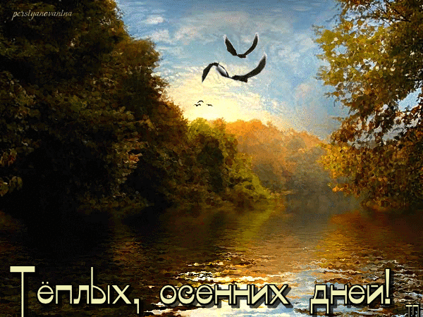 (100+) Галерея поздравлений - Группы Мой Мир