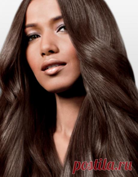 Холодный цвет волос: видео-инструкция как получить своими руками, краска темно-русого, каштанового, рыжего, коричневого оттенка, шоколад, фото и цена