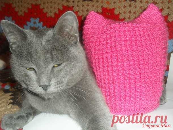 Шапка-кошка... Котофею нравится - Вязание - Страна Мам