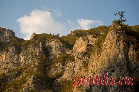 River Tara - Montenegro