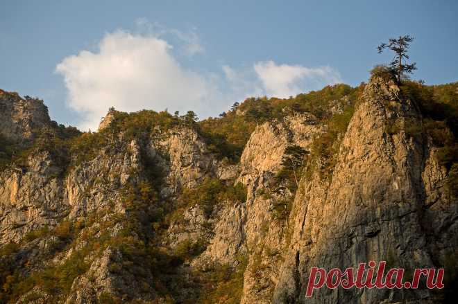 River Tara - Montenegro
