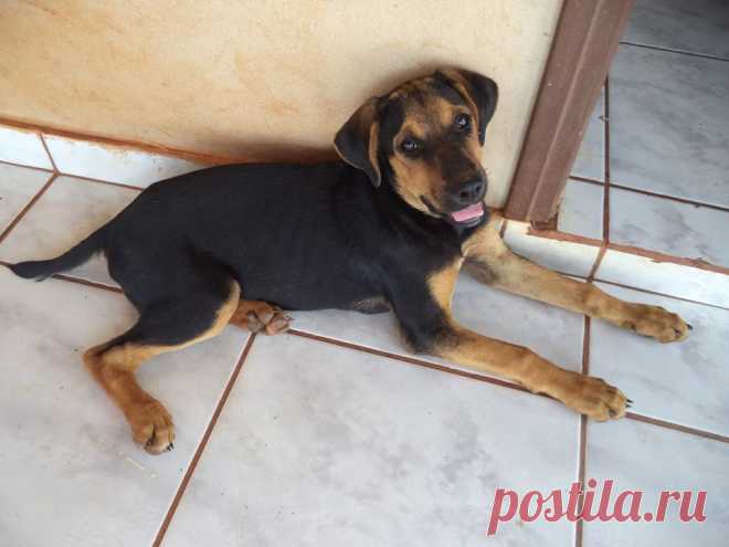 Jhone de Sousa
