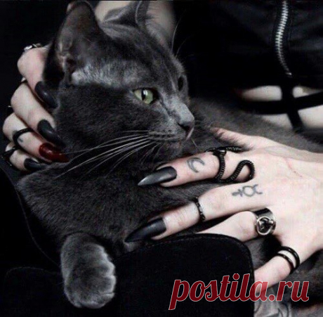 Защитный ключ