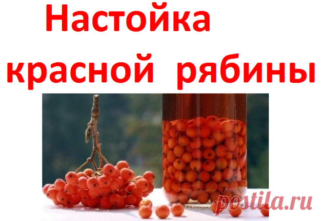 Лечение настойкой красной рябины | Советы целительницы