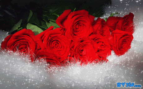 Google+ – #flowers