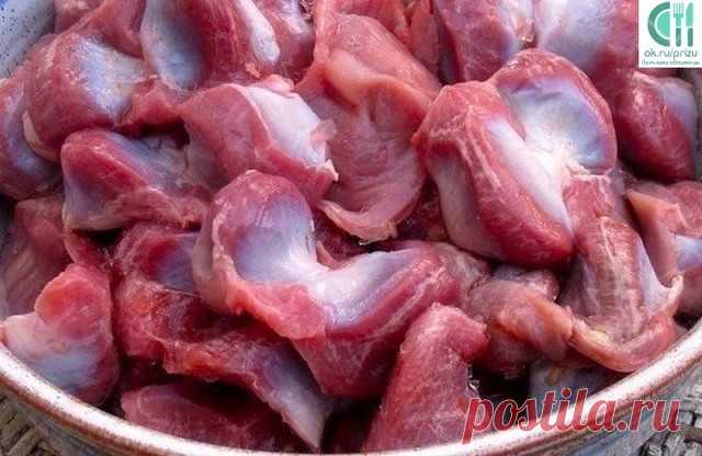 ДОЛЖНО БЫТЬ В КОПИЛКЕ КАЖДОЙ ХОЗЯЙКИ ;)
7 рецептов приготовления вкуснейших куриных желудков. Очень дешево и очень вкусно!!!

РЕЦЕПТ ПЕРВЫЙ: КУРИНЫЕ ЖЕЛУДКИ ПО-БЫСТРОМУ
Понадобится: 500г куриных желудков, 2 луковицы, 3 ст.л. растительного масла, ½ ч.л. соды, специи по вкусу, соль.
Промыть и обсушить пупочки. Мелко нарезать лук, выложить его в казан с разогретым маслом, жарить до зарумянивания. Добавить к луку желудки, обжарить до выделения сока, всыпать соду (соду добавляю...
