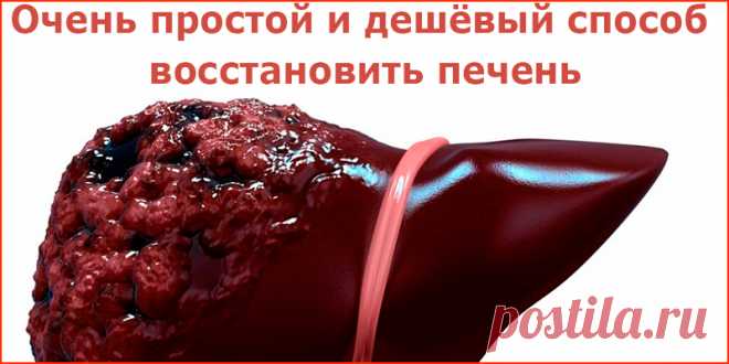 Очень простой и дешёвый способ восстановить печень | Полезные советы