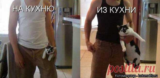 ПРЕОБРАЖЕНИЕ