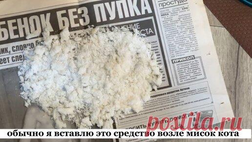 Муравьёв и тараканов в доме больше не будет. Покажу хитрость, как избавиться от них раз и навсегда ( лайфхак от опытной хозяйки) | Екатерина Алексеева | Дзен