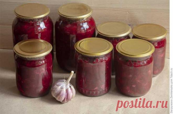 Борщевая заправка на зиму — СОВЕТНИК