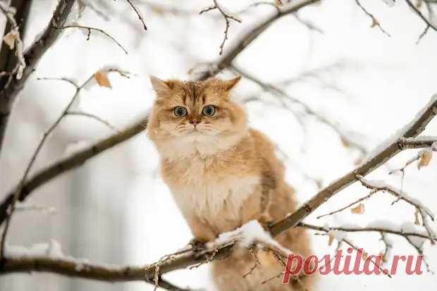 (99+) Бабушкино наследство - ДОСТОЙНАЯ ЖИЗНЬ НА ПЕНСИИ - 20 декабря - 43402555952 - Медиаплатформа МирТесен