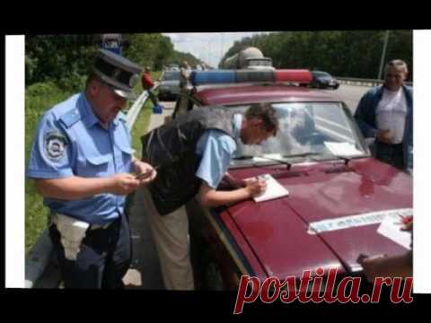 Видео В.Захаров Песня о преданной собаке