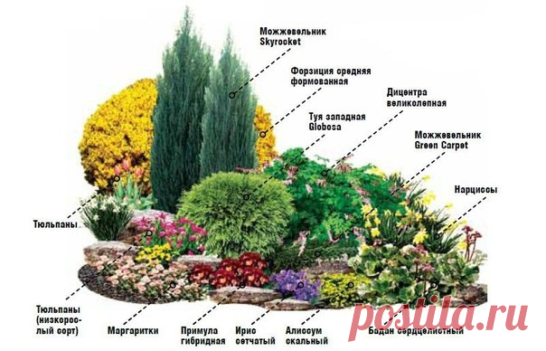 От весны и до осени.Создайте цветник непрерывного цветения | Дачный сад и огород