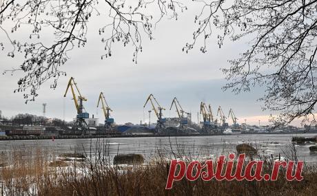 В портах Ленобласти повысили режим готовности и ввели светомаскировку. В морских портах Ленобласти ввели режим повышенной готовности из-за роста угрозы атак украинских беспилотников. 18 января Минобороны впервые отчиталось об уничтожении дрона в регионе, позже произошел пожар в порту Усть-Луга