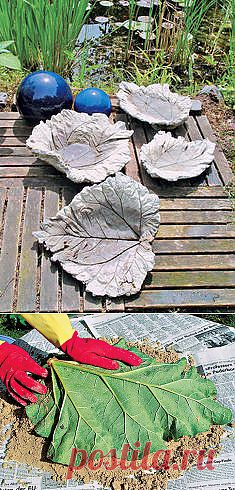 Купальни для птиц из листьев ревеня.