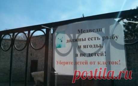 15 объявлений 2015 года, которые невозможно забыть