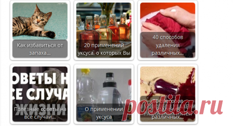 Как выводить кошачью мочу с мебели и обуви • Искусство здоровой жизни