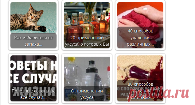Как выводить кошачью мочу с мебели и обуви • Искусство здоровой жизни