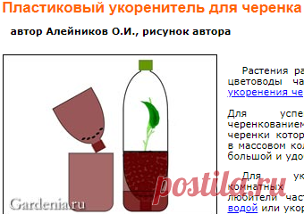 Пластиковый укоренитель для черенка
