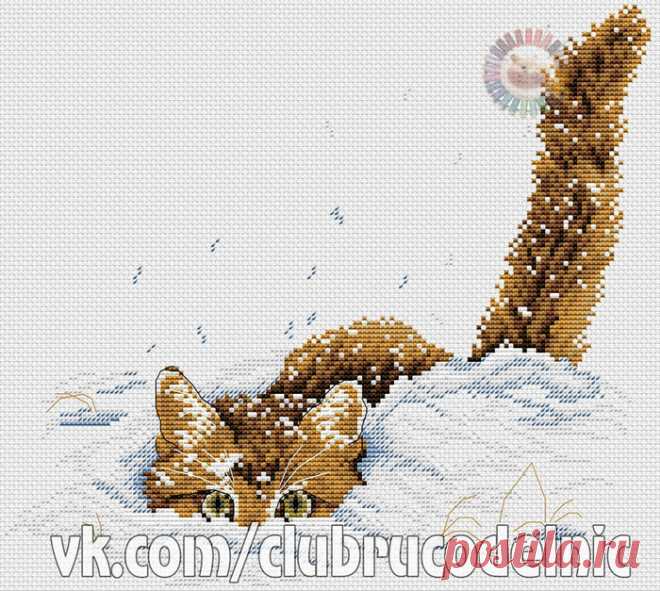 ВЫШИВКА-Кот в снегу