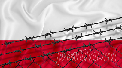 В Польше приняли решение о депортации сотен граждан Грузии из-за преступлений. В Польше приняли решение о депортации сотен граждан Грузии из-за преступлений, заявил глава МВД и администрации республики Томаш Семоняк. Читать далее