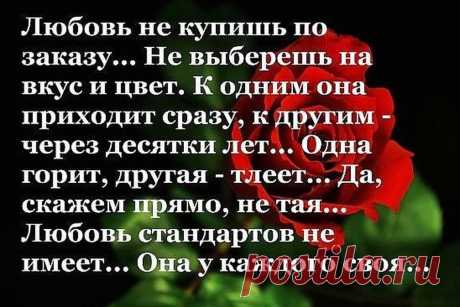 СЕРИАЛ&quot;ЖЕНИХ&quot;
