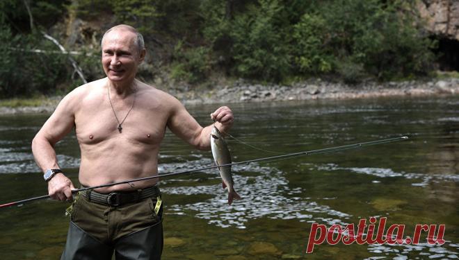 На сайте Кремля опубликовали полную версию видео отдыха Путина в Сибири - Новости Общества - Новости Mail.Ru