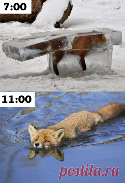 Коротко о погоде в конце марта
