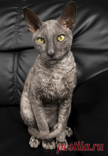Hinto | Flickr - Photo Sharing!