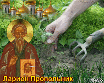 С Днем святого Лариона
Вас, родные, поздравляю!
Верьте, верьте в чудеса.
Всем вам счастья и добра!