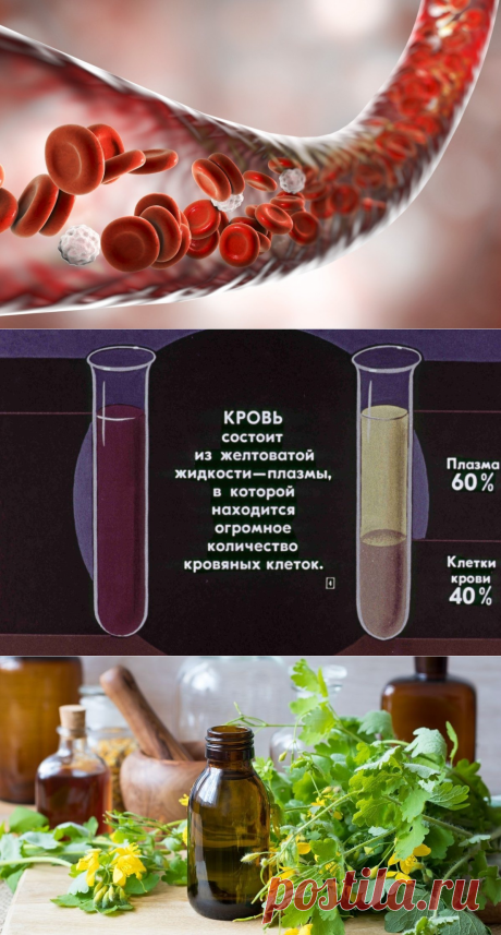 Реки нашего организма: кровь и лимфа. Боремся за их чистоту по советам тибетских монахов