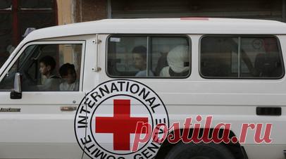 Колонна автомобилей МККК попала под обстрел в городе Газа. Колонна из пяти грузовиков с гуманитарной помощью и двух автомобилей МККК попала под обстрел в городе Газа. Читать далее