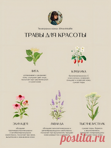 Травы для красоты