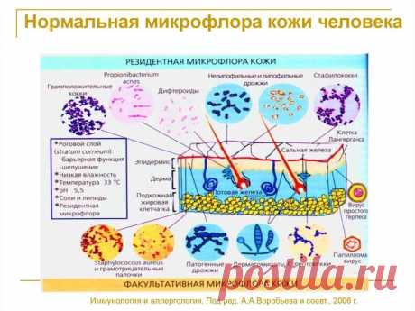 Правильные продукты для здоровья кожи
Здравствуйте, дорогие читатели! Здоровье и красота кожи начинается изнутри. Кожа-это кишечный эпителий наизнанку. Все, что происходит в кишечнике, отражается на коже. На коже, так же как и в кишечнике, обитают тысячи различных видов бактерий. Именно они отвечают за внешний вид нашей кожи и ее защиту. Антибактериальное мыло и антисептики-это главные враги нашей кожи, ведь вместе […]
Читай дальше на сайте. Жми подробнее ➡
