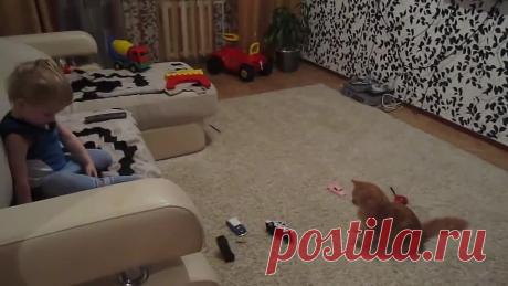Кот воспитывает ребенка....

Что б посмотреть видео, нажми Подробнее"...