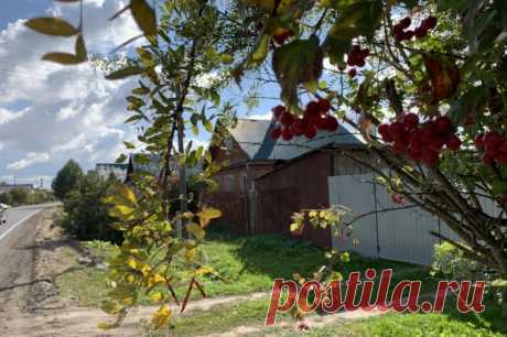 Жители деревни Попки заявили, что не стесняются названия населенного пункта. Они негативно отреагировали на идею переименовать населенный пункт.