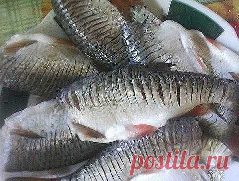 Одноклассники